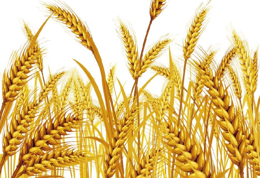 面條行業(yè)的市場現(xiàn)狀與發(fā)展趨勢(shì)